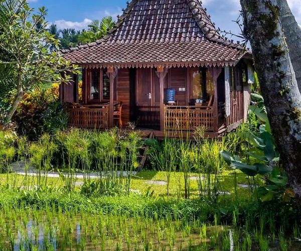 Neyang Ubud (Bali)