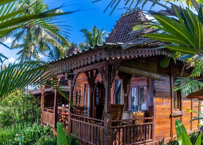 Neyang Ubud (Bali)