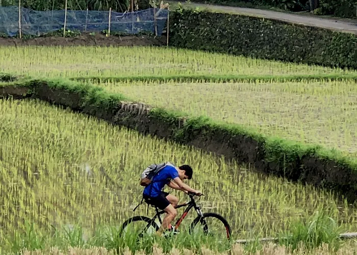 Neyang Ubud (Bali)