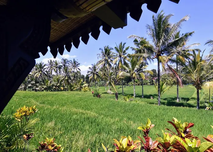 Neyang * Ubud (Bali)