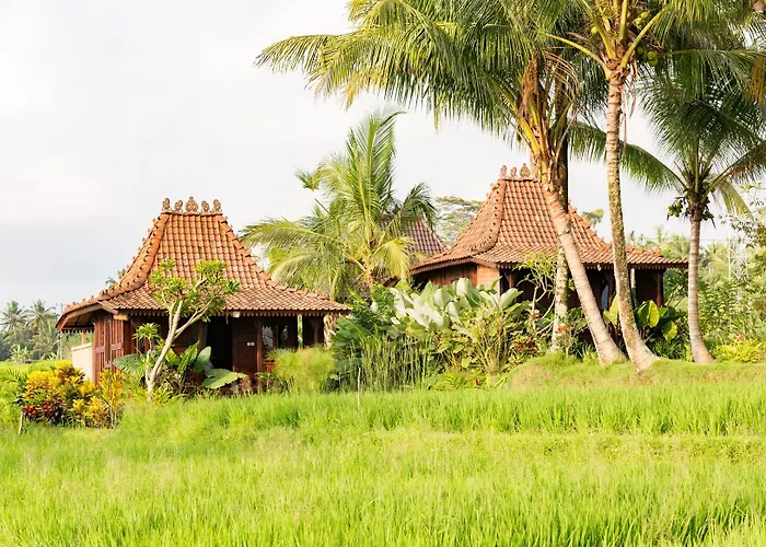 Neyang * Ubud (Bali)