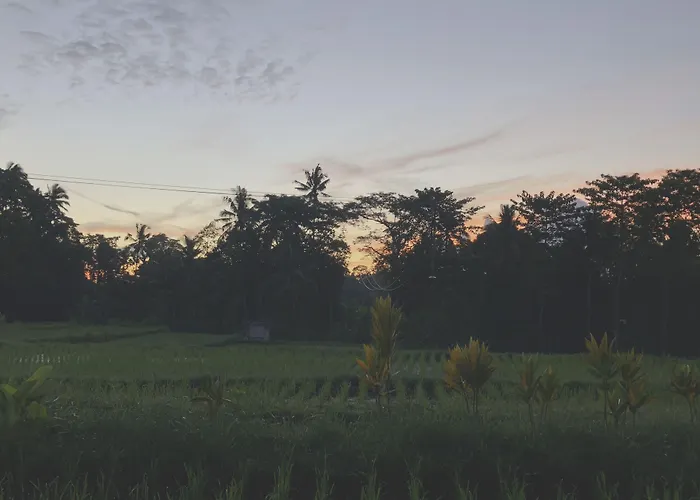 Neyang * Ubud (Bali)