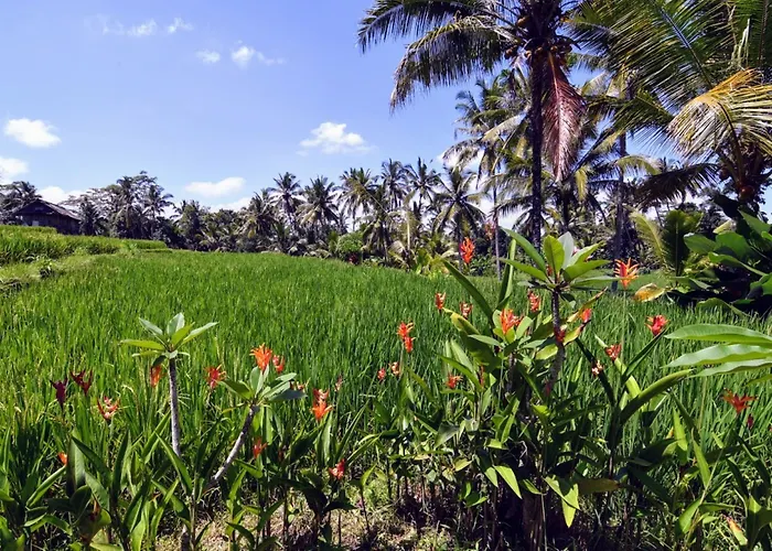 Villa Neyang