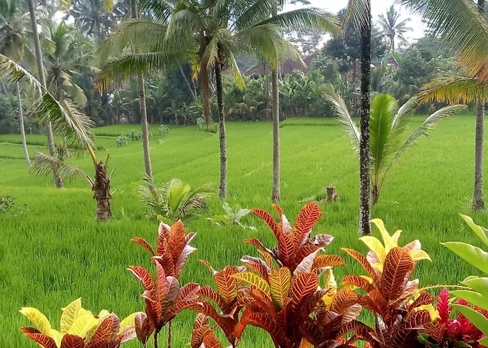 Neyang Ubud (Bali)