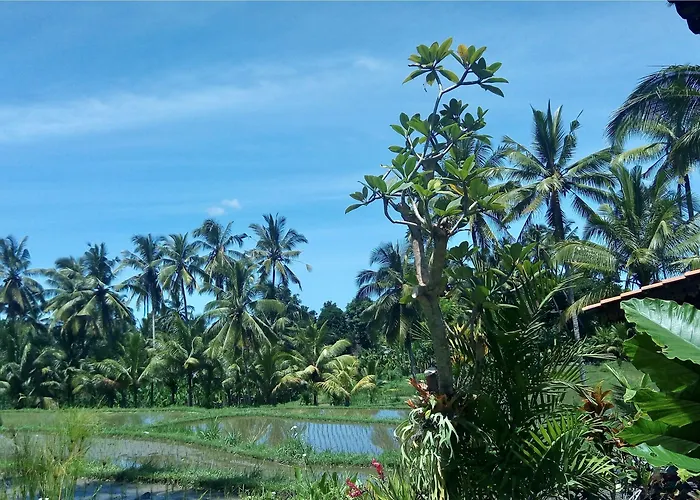 Neyang Ubud (Bali)