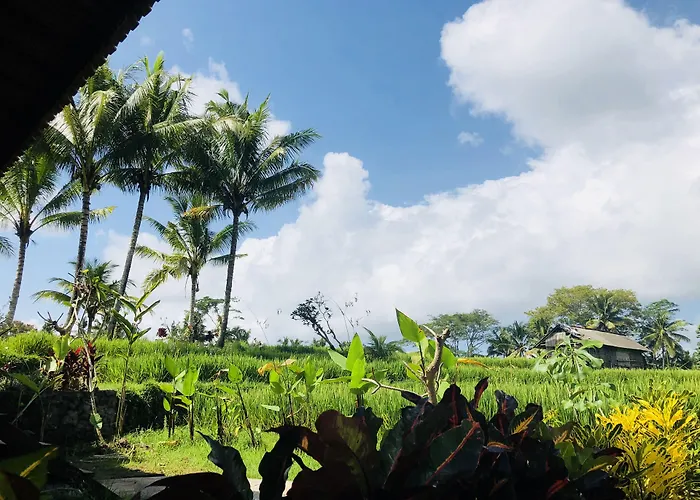 Neyang Villa Ubud (Bali)