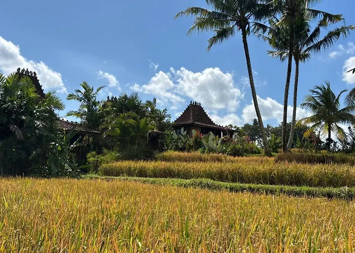 Villa Neyang *