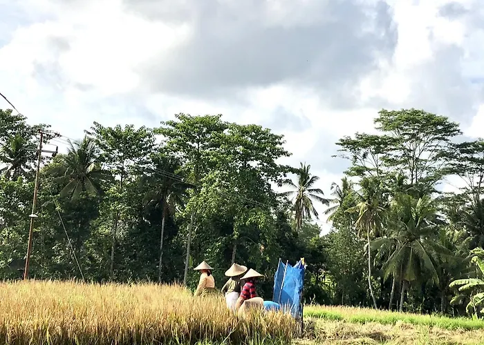 Villa Neyang