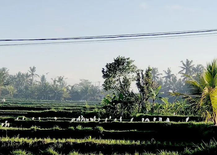 Neyang Villa *