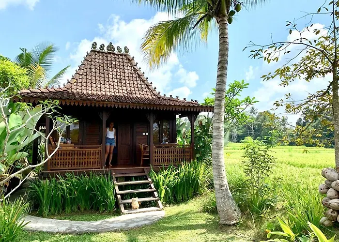 Neyang Ubud (Bali)