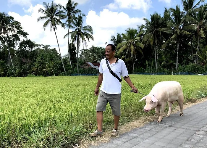 Neyang Villa Ubud (Bali)